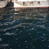 冬の海