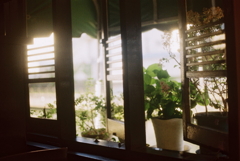coffee浜