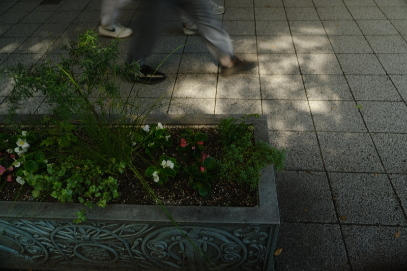 ストリート