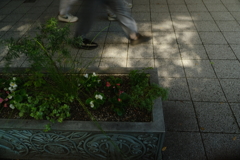 ストリート