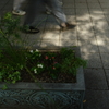 ストリート