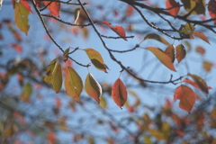 DSCF3021 DSCF3021