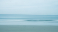 海