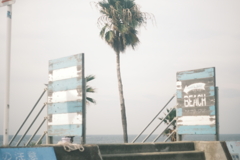 DSCF8364