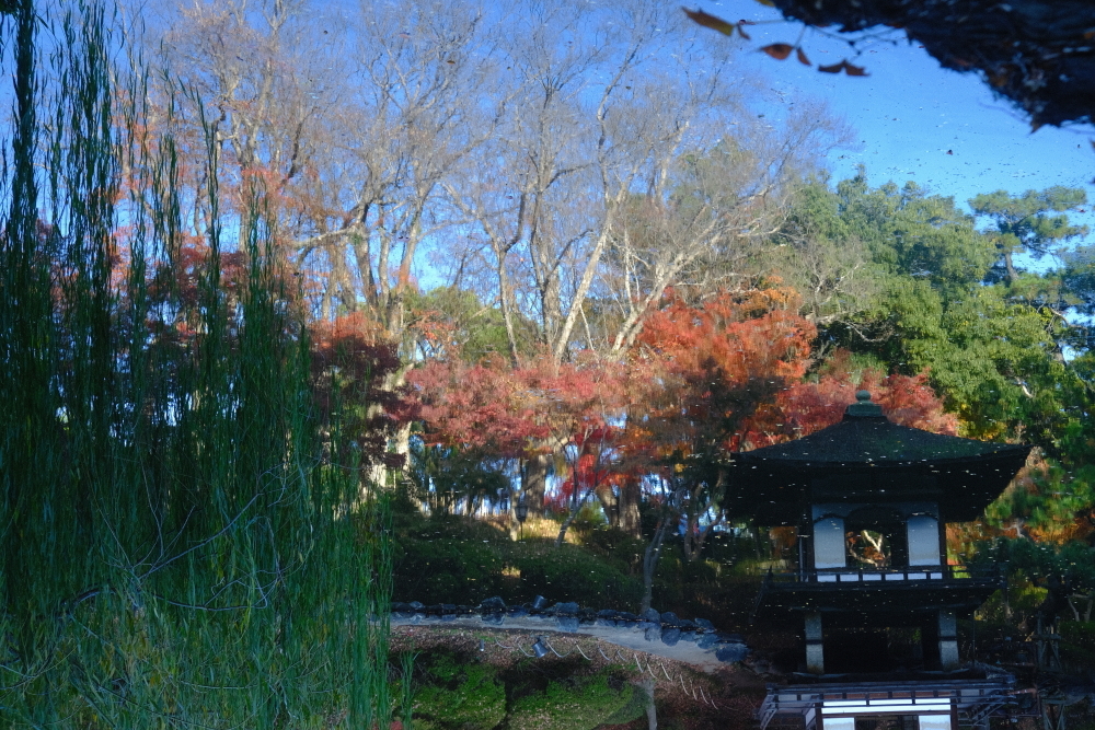 映り込み～紅葉