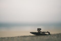 DSCF8303