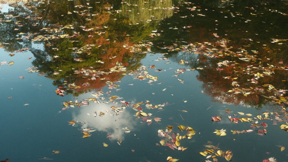 デスクトップ背景の画面