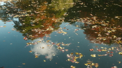 デスクトップ背景の画面