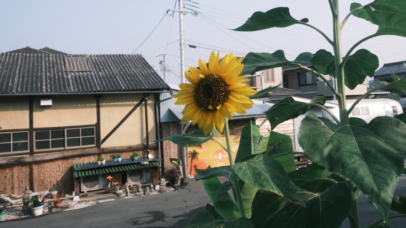 花がいっぱい～カフェ