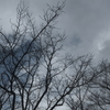 空