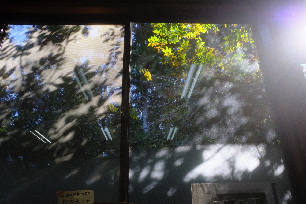 木漏れ日～廃校カフェ