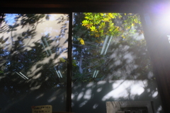 木漏れ日～廃校カフェ