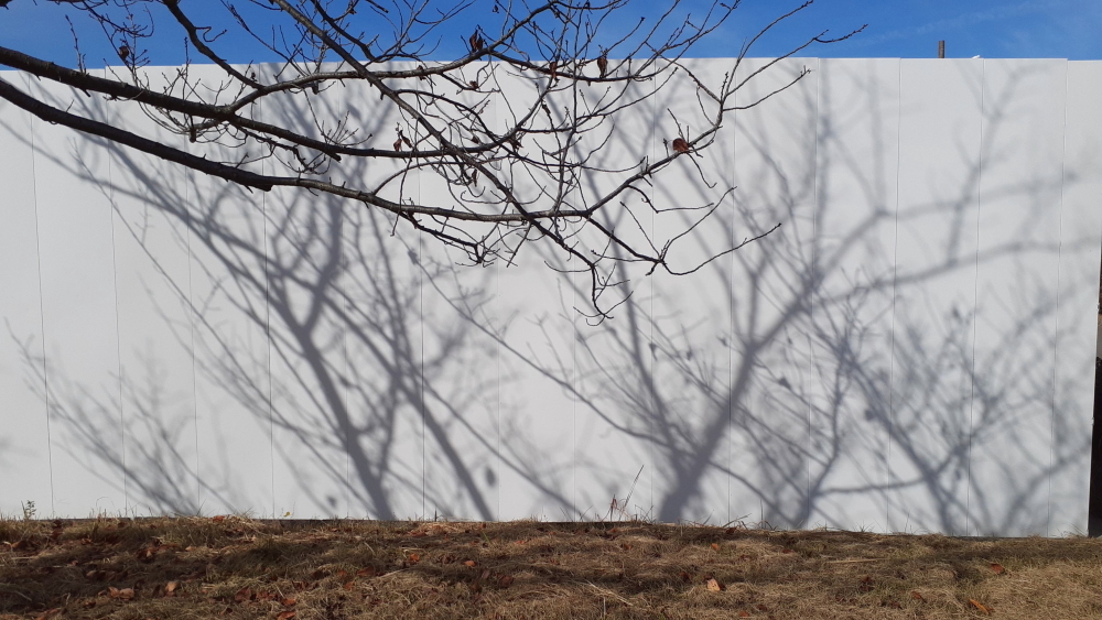 キャンパス～いつもの公園