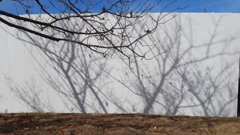 キャンパス～いつもの公園