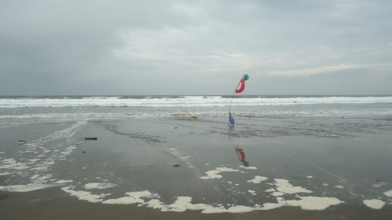 海に連れてってね！