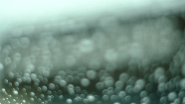 雨の日のスタバ