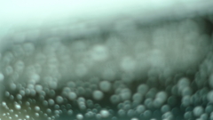 雨の日のスタバ