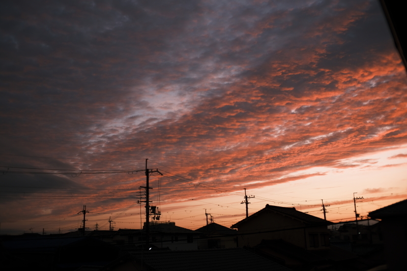 今日の一枚～夕景