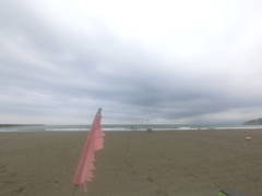 ぼろぼろフラッグ～8月週末の海