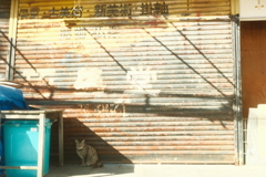 ストリートスナップ～himeji