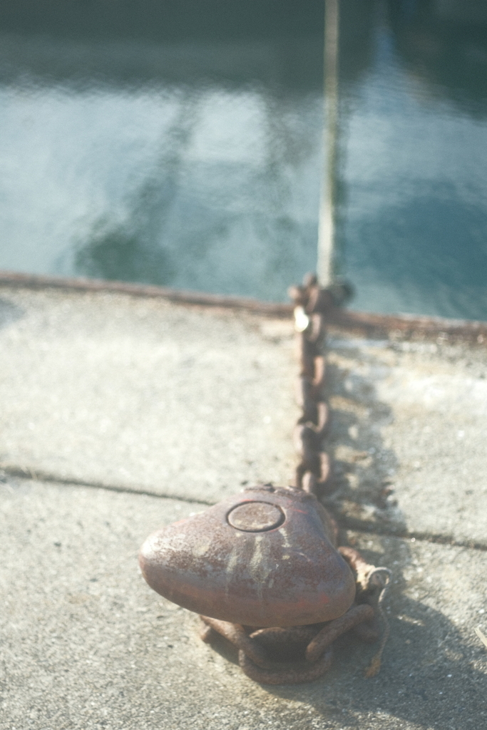 小春日和～いつもの漁港