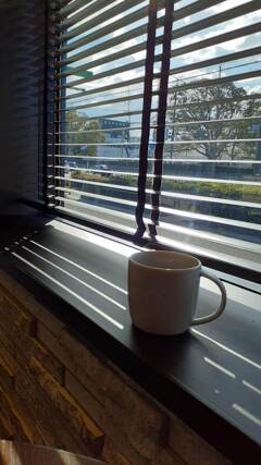 春の日差し～カフェ