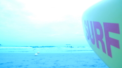 海
