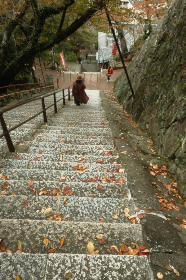 晩秋～女坂