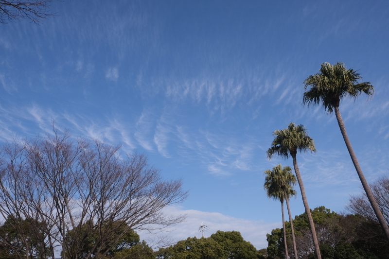 公園散策