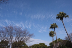 公園散策