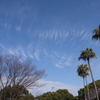 公園散策