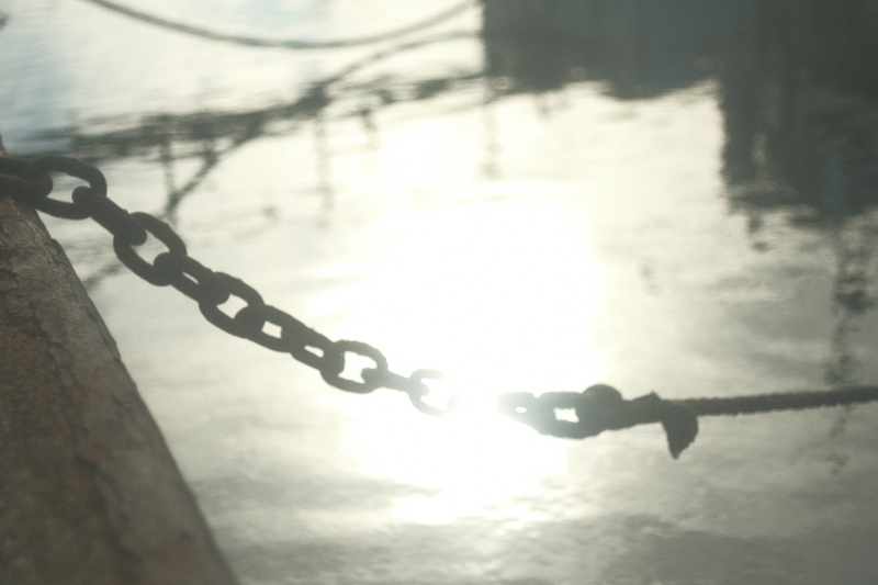 ヒカリ～いつもの漁港