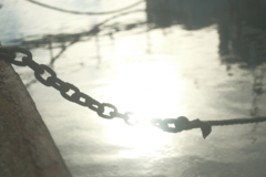 ヒカリ～いつもの漁港