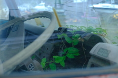 廃車復活
