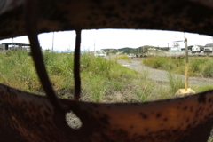 風景