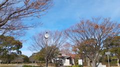 時計のある風景