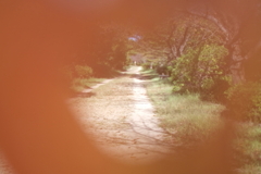 散歩道