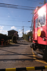 新年の日射しを浴びて