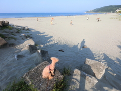 海へ