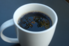 いつものスタバ