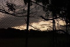 朝の空