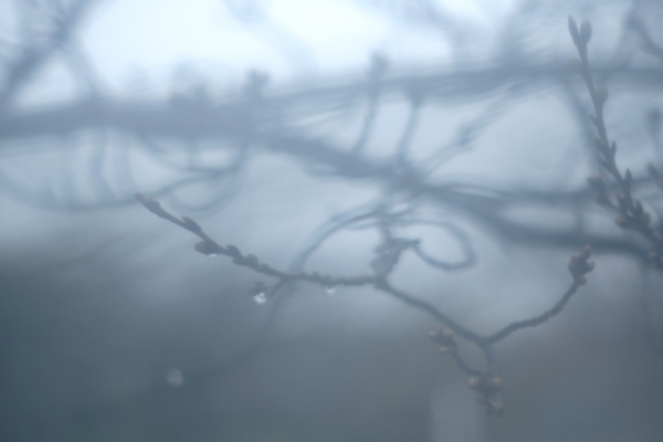 水滴