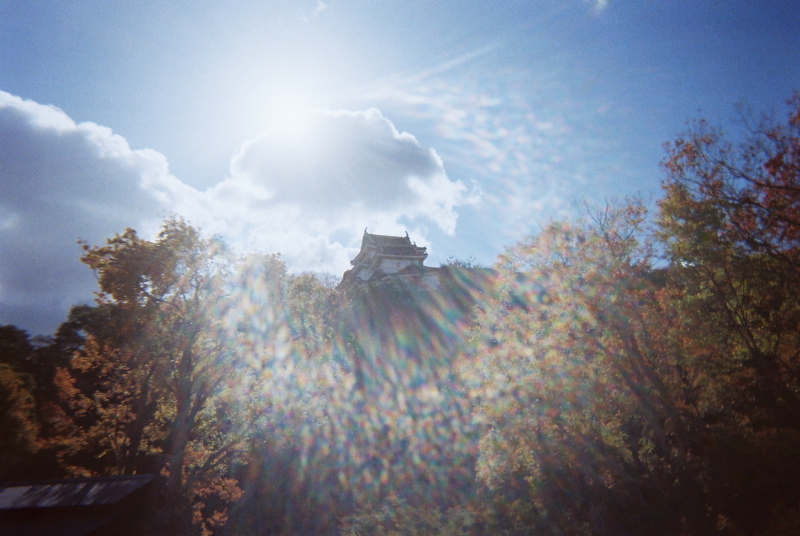 和歌山城の紅葉