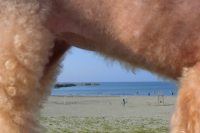 海を覗く