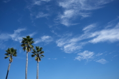 秋の空