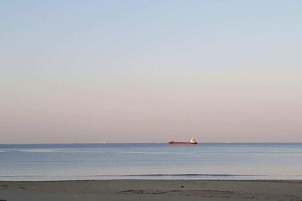 朝陽を浴びて