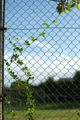 DSCF8921