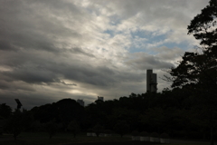 スナップ～いつもの公園　散歩道