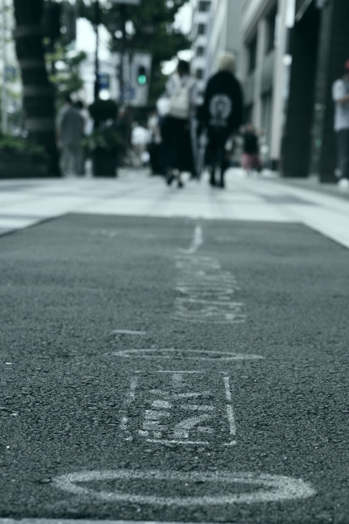 Street Snap