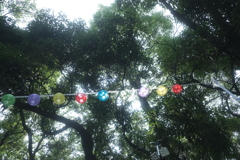 もうすぐ夏祭り～飾り
